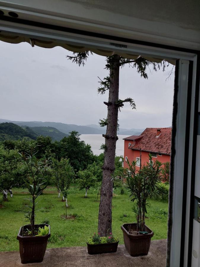 Apartmani Kuljanin Donji Milanovac Rum bild